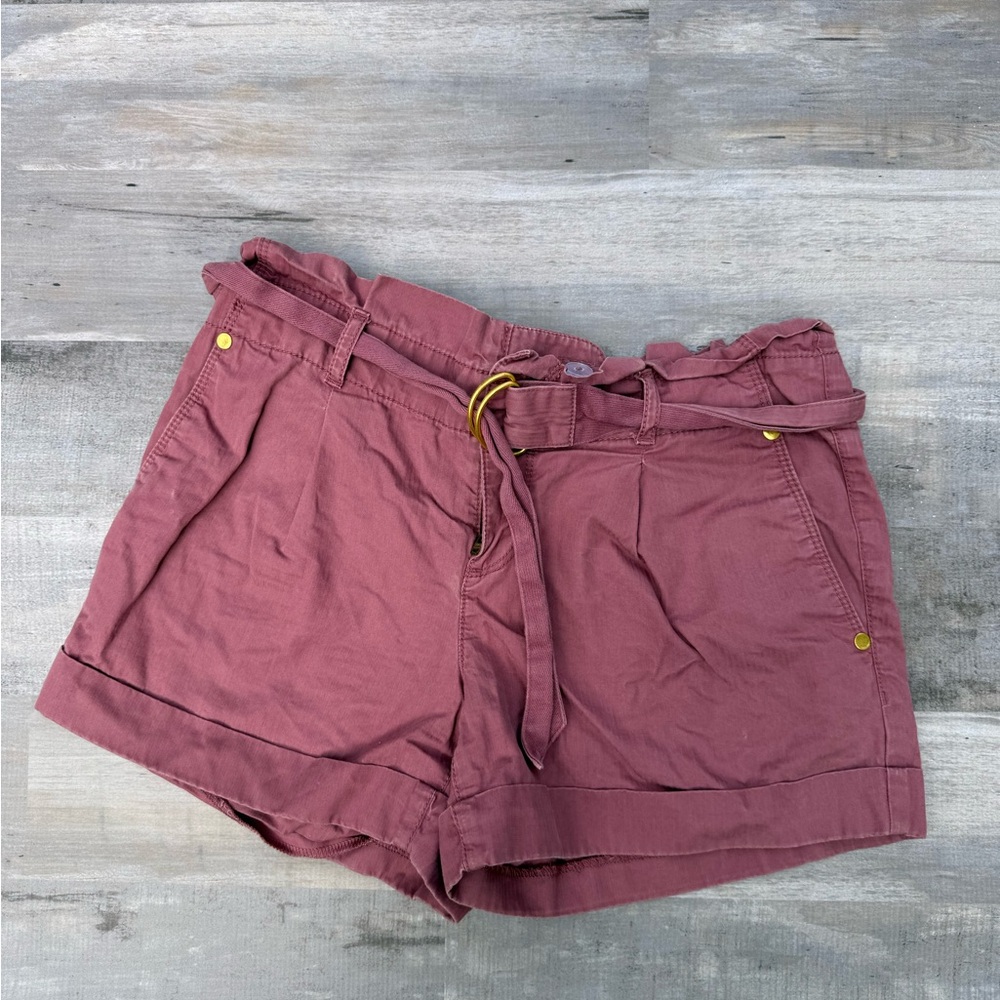 LOFT Mauve Pink Paperbag Waist Shorts with Tie